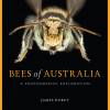 Native Bees of Australia by James Dorey