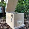 Bare Timber OATH Stingless Native Bee Hive Perspex Viewing, Hinged Lid Design With Roof 