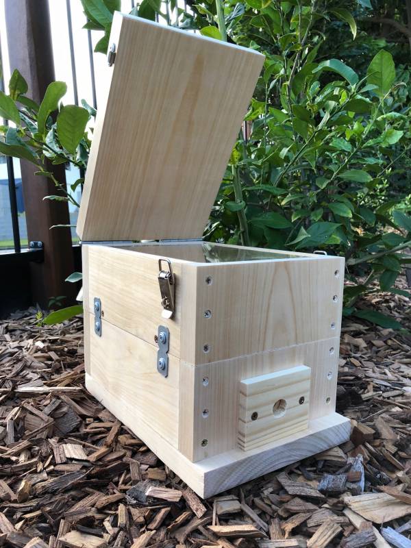 Bare Timber OATH Stingless Native Bee Hive Perspex Viewing, Hinged Lid Design With Roof 