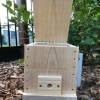 Bare Timber OATH Stingless Native Bee Hive Perspex Viewing, Hinged Lid Design With Roof 