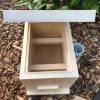 Bare Timber OATH Stingless Native Bee Hive Perspex Viewing, Hinged Lid Design With Roof 