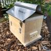 Bare Timber OATH Stingless Native Bee Hive Perspex Viewing, Hinged Lid Design With Roof 