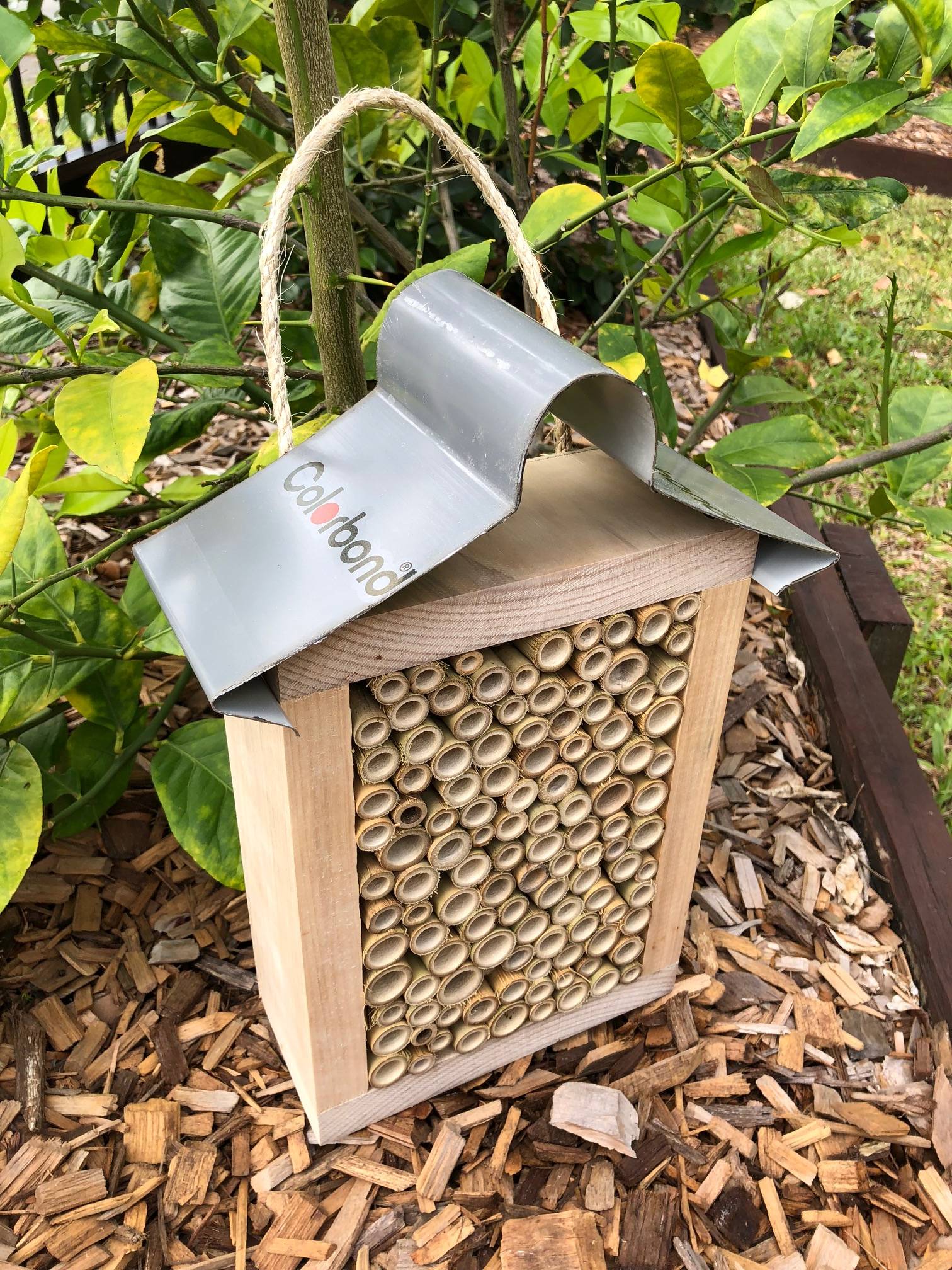 Bare Timber Solitary Native Bee Hotel | Australian Ladybird and Insect House | All Bamboo Large