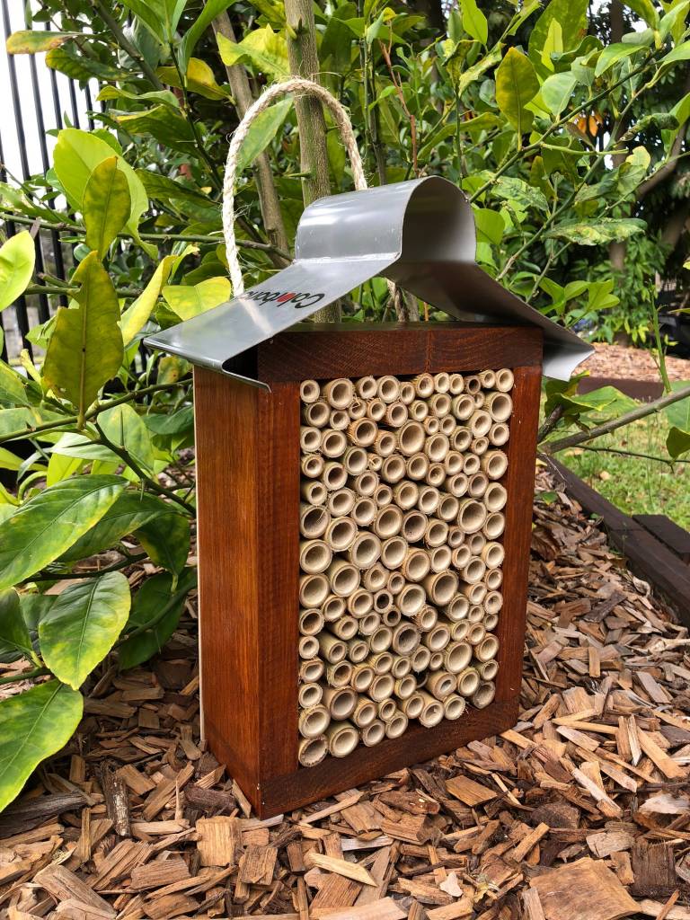 Australian Insect Homes Stained Solitary Native Bee Hotel Australian Insect House & Roof