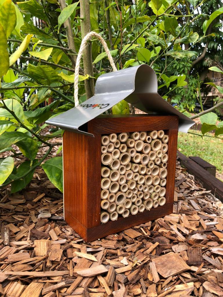 Stained Timber Solitary Native Bee Hotel | Australian Ladybird and Insect House | All Bamboo