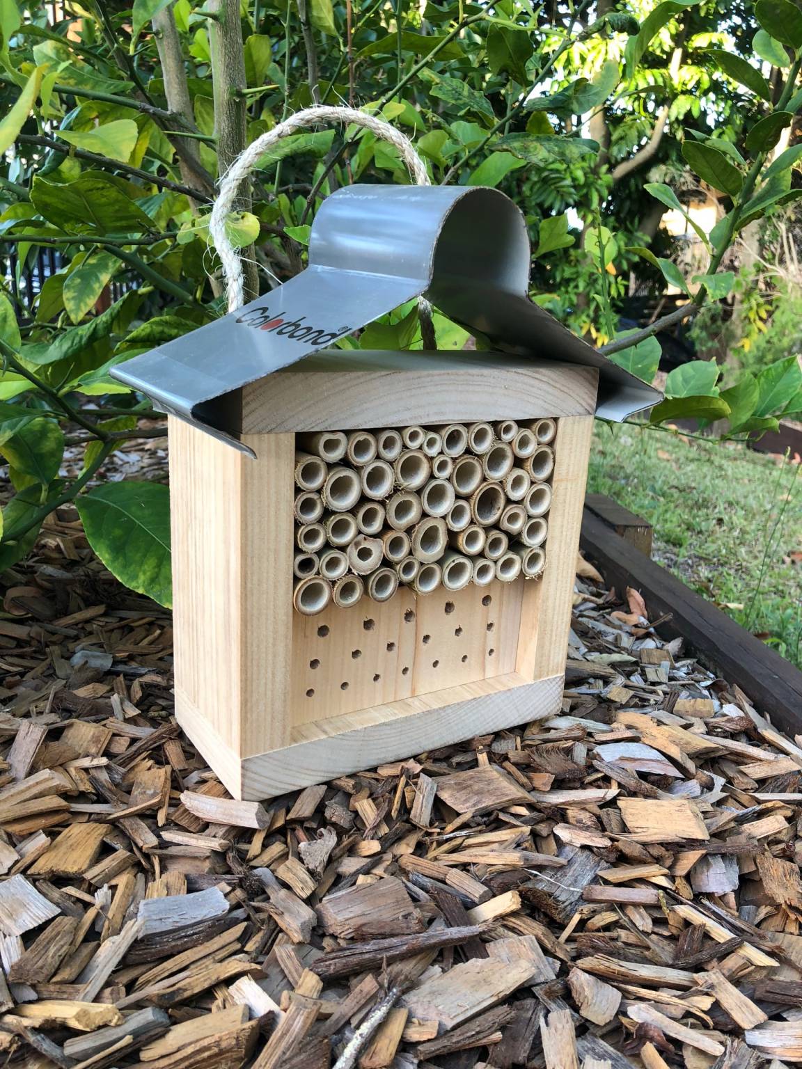 Build Your Own Haven: A Comprehensive Guide to Australian Native Bee Hive Plans