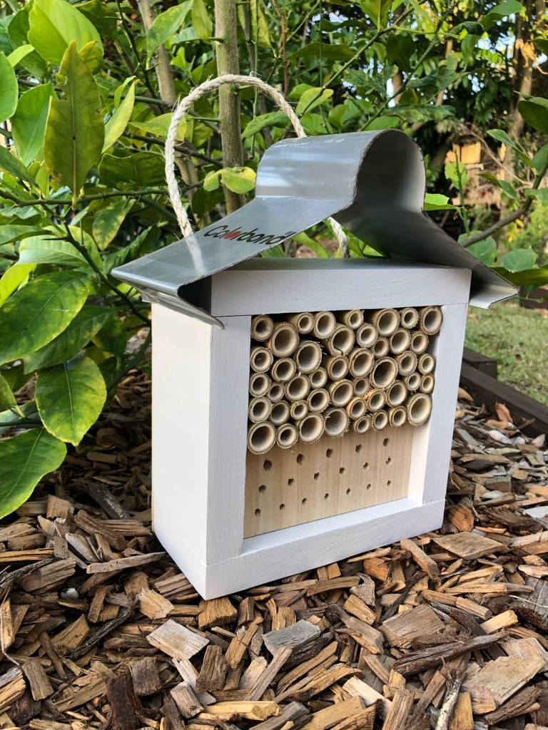 Australian Insect Homes Painted Solitary Native Bee Hotel Australian Ladybird Insect House