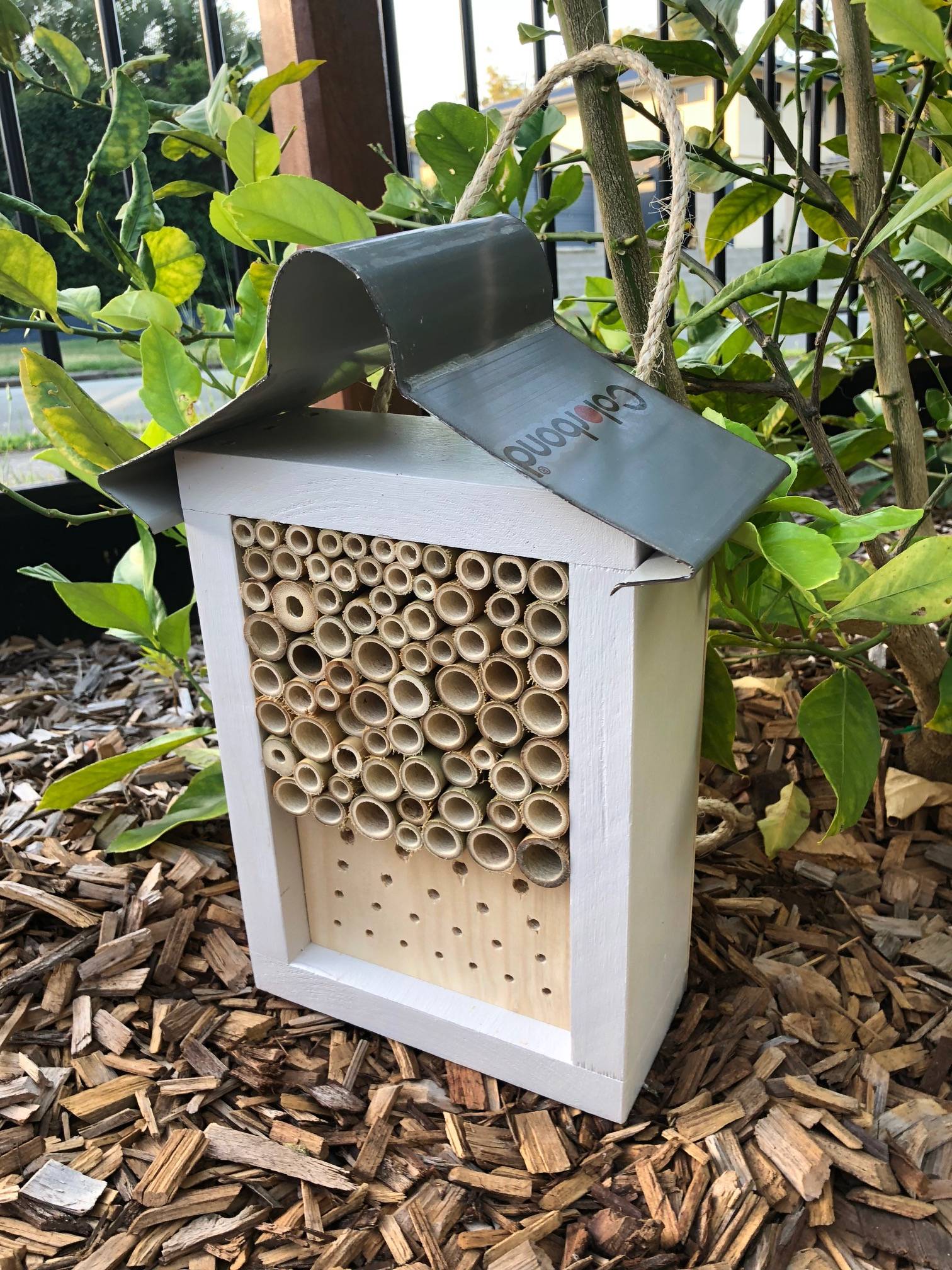 Painted Solitary Native Bee Hotel | Australian Ladybird and Insect House | Mixed Large Painted