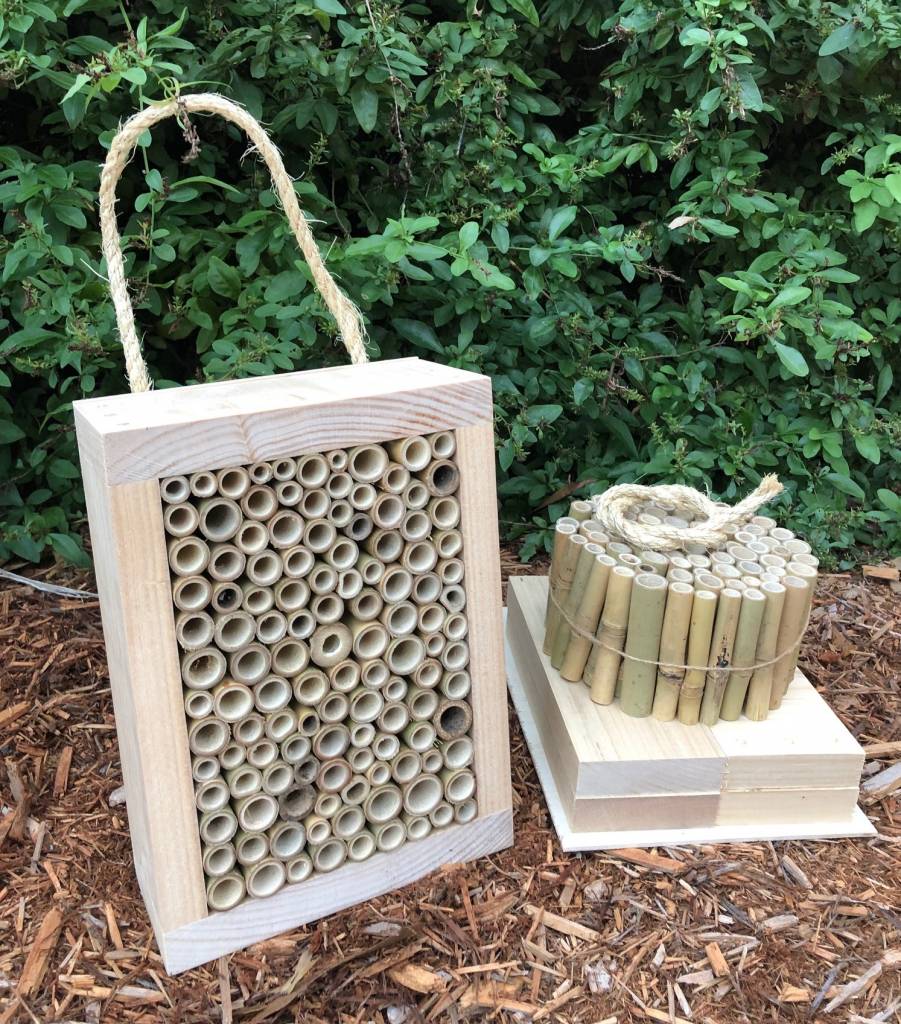 DIY Solitary Native Bee Hotel | Australian Ladybird and Insect House ...