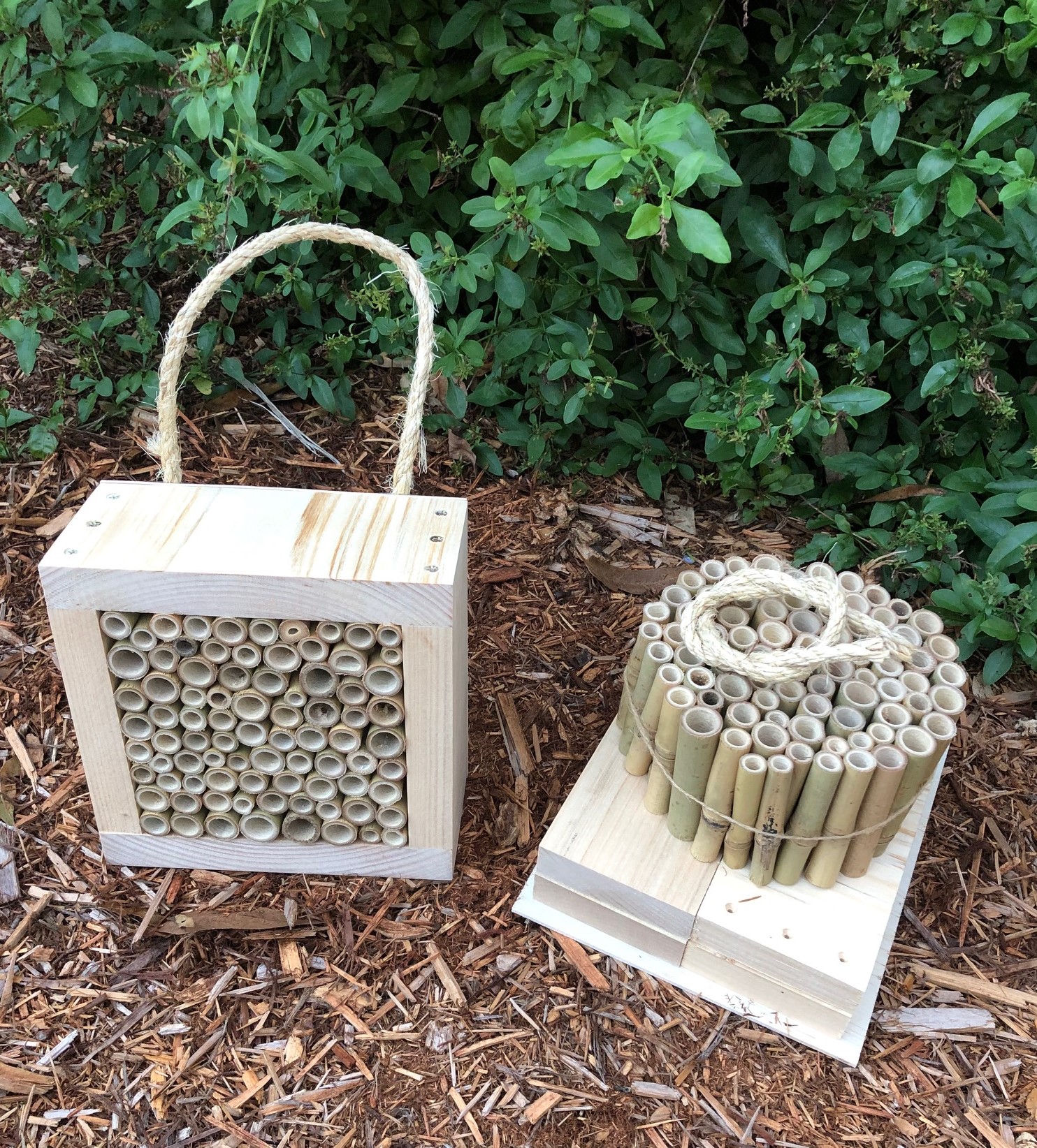 Diy Solitary Native Bee Hotel Australian Ladybird And Insect House All Bamboo Small Diy Kit Abeec Hives Australian Native Bee Hives