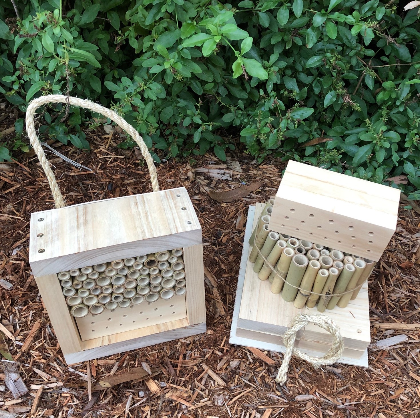 DIY Solitary Native Bee Hotel | Australian Ladybird and ...