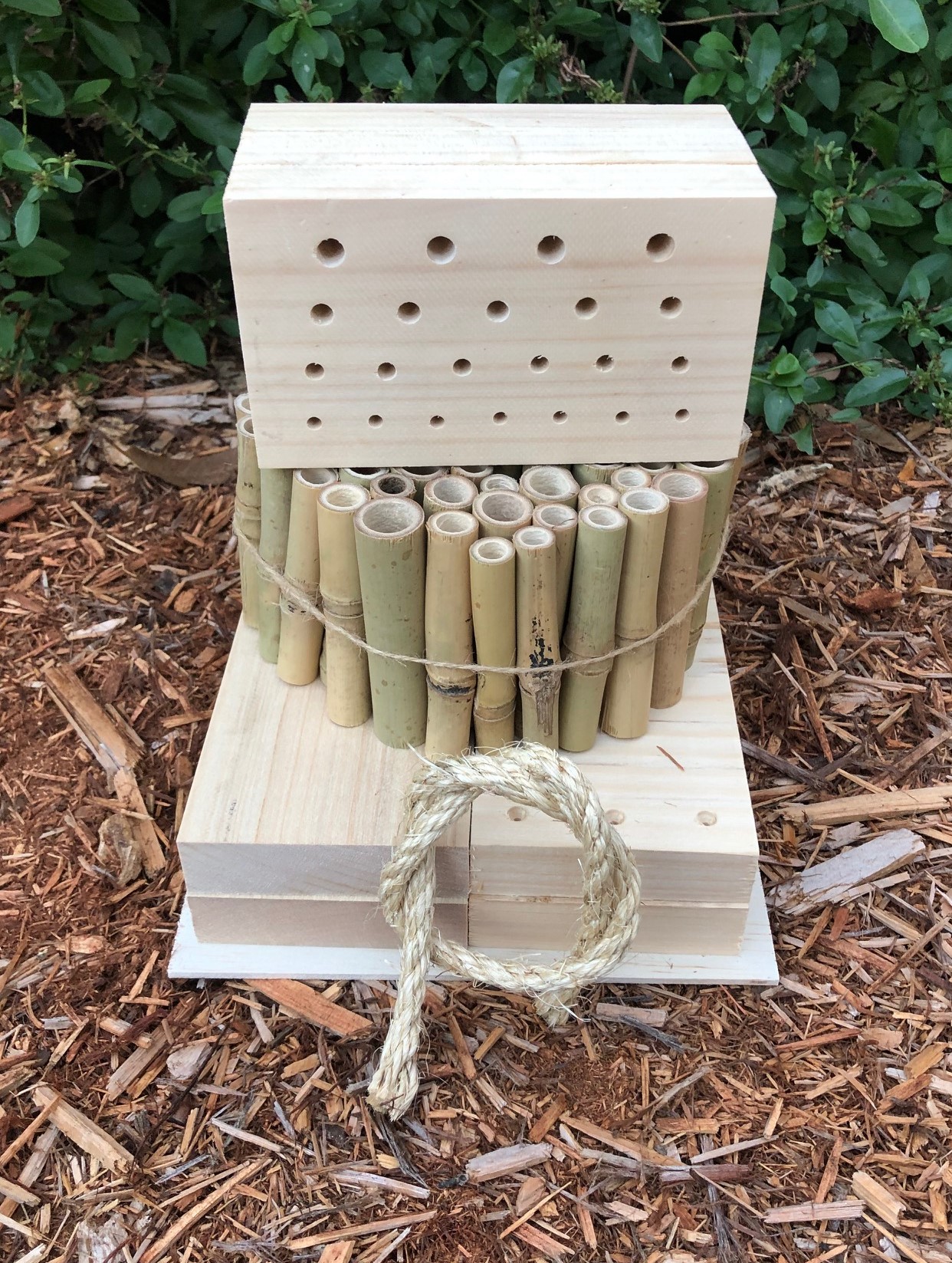 DIY Solitary Native Bee Hotel | Australian Ladybird and ...