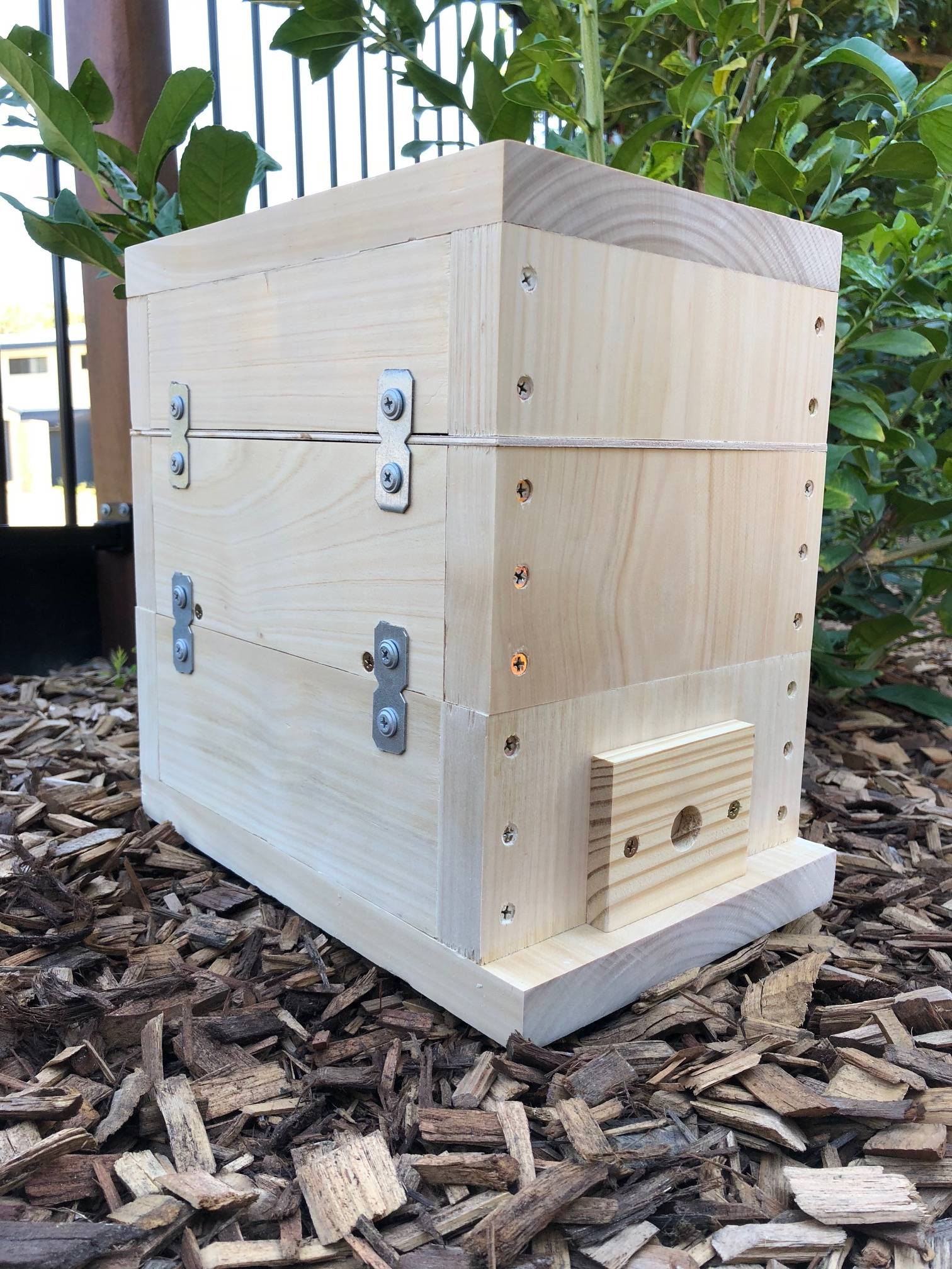 Stingless OATH Bee Hive Do It Yourself Kit Native Beehive Honey Pot