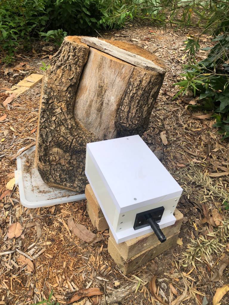 Native Bee Hive Eduction