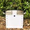 Australian OATH Mini Native Bee Hive Viewing Window
