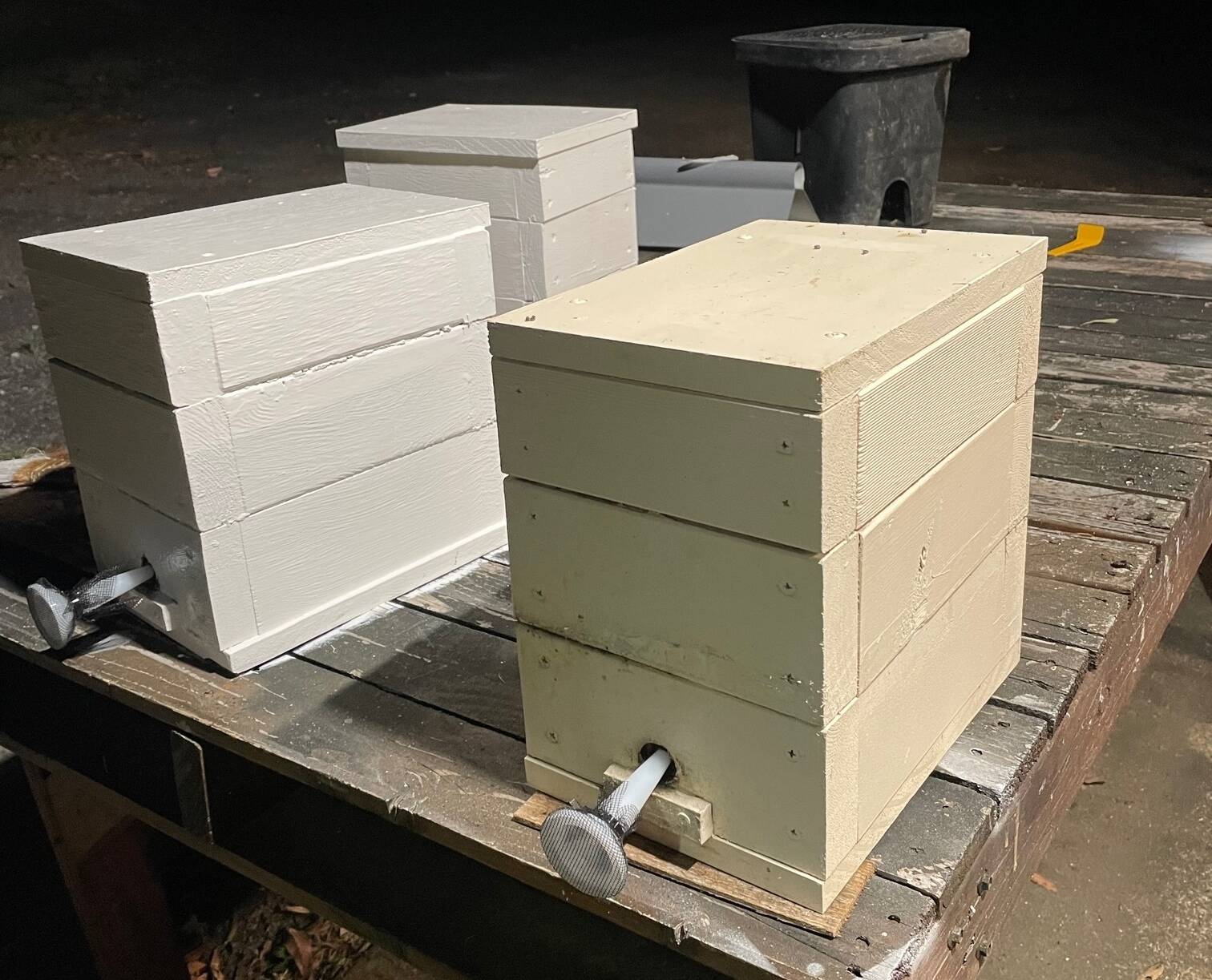 Building a Buzzworthy Home: A Guide to Native Bee Hives in Australia