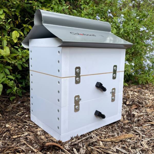Native Bee Hive Side Entry Honey Super