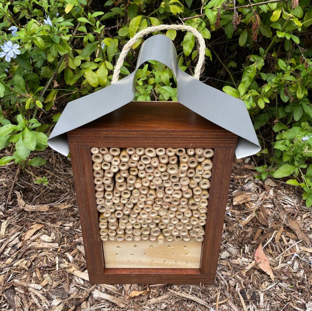 Australian Insect Homes Stained Solitary Native Bee Hotel Australian Ladybird Insect House