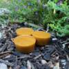 Wax / Resin from Stingless Australian Native Bees 70g