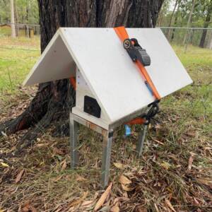 Hive Stand and Roof Strapped Together